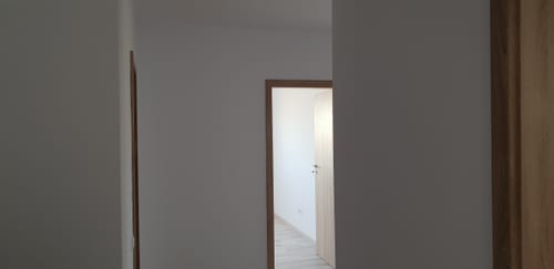 Stela Renovare