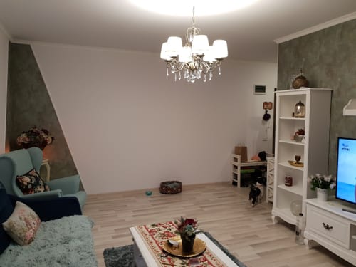 Stela Renovare